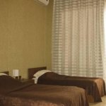 Hôtel � Alazani Valley �