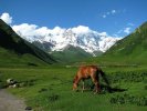 Alpinizm w Gruzji "Wspinaczka na szczyt Tetnuldi" z Kut