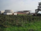 Weinfabrik Kindzmarauli Marani