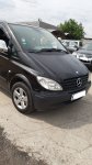Mini-bus Mercedes Vito, 8 miejsc