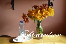  Chateau Fort de Manavi